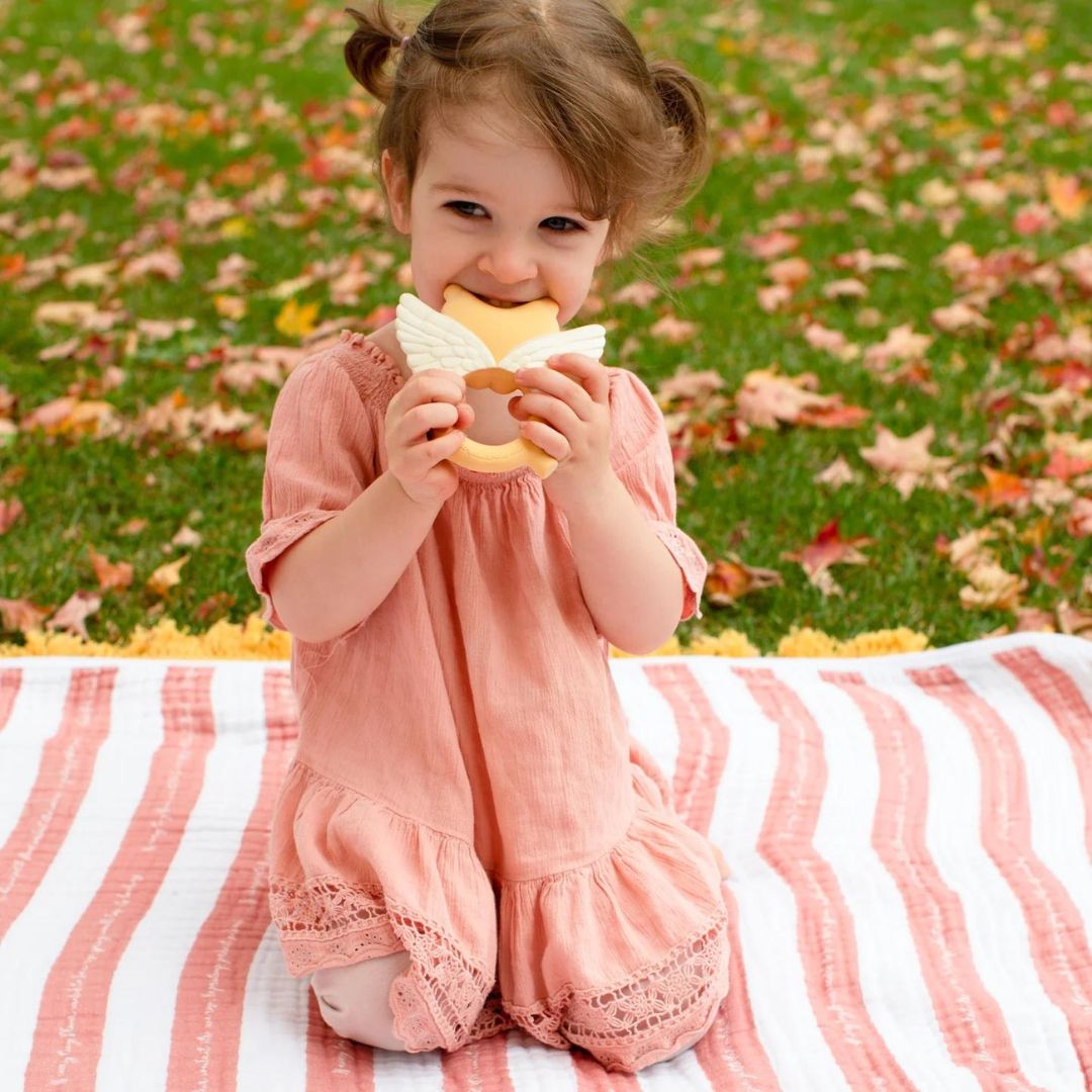 Teether - Lion of St. Mark